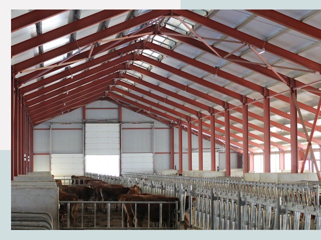 Строительство коровников в Бугульме