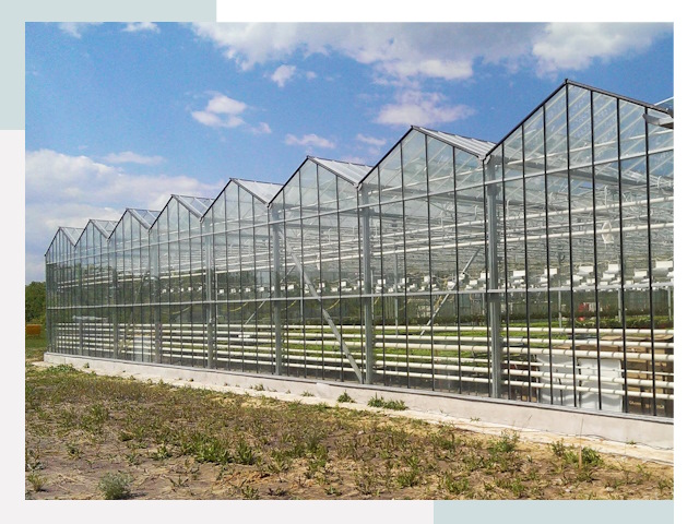 Строительство теплиц в Бугульма от 606 руб. за м²