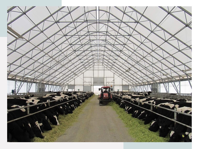 Тентовые коровники в Бугульме от 606 руб. - Надежно и доступно